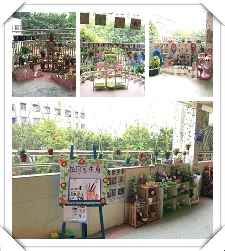 春暖花開(kāi)，綠樹(shù)成蔭——遠(yuǎn)恒佳公明第二幼兒園自然觀察角大比拼