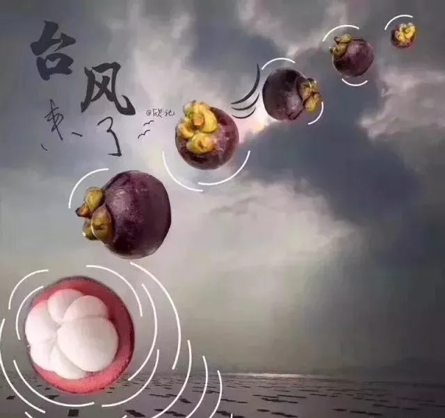 臺風(fēng)無情人有情，應(yīng)對臺風(fēng)“山竹”，我們團結(jié)一心。