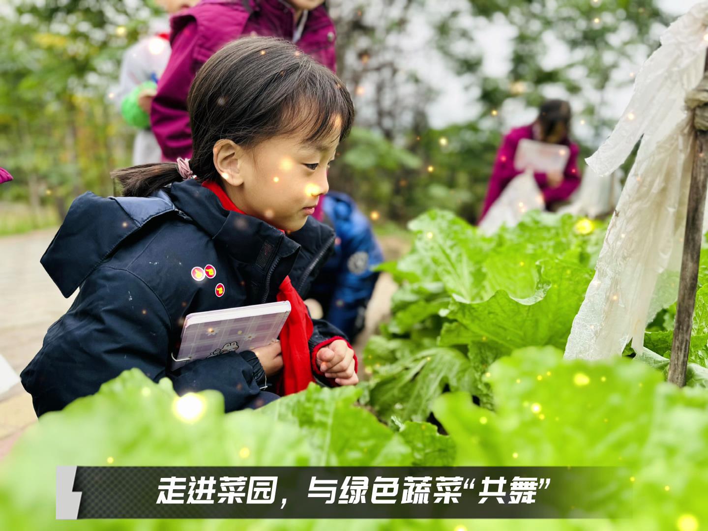 美好學(xué)校|留校時光，走出教室，與綠色蔬菜共舞