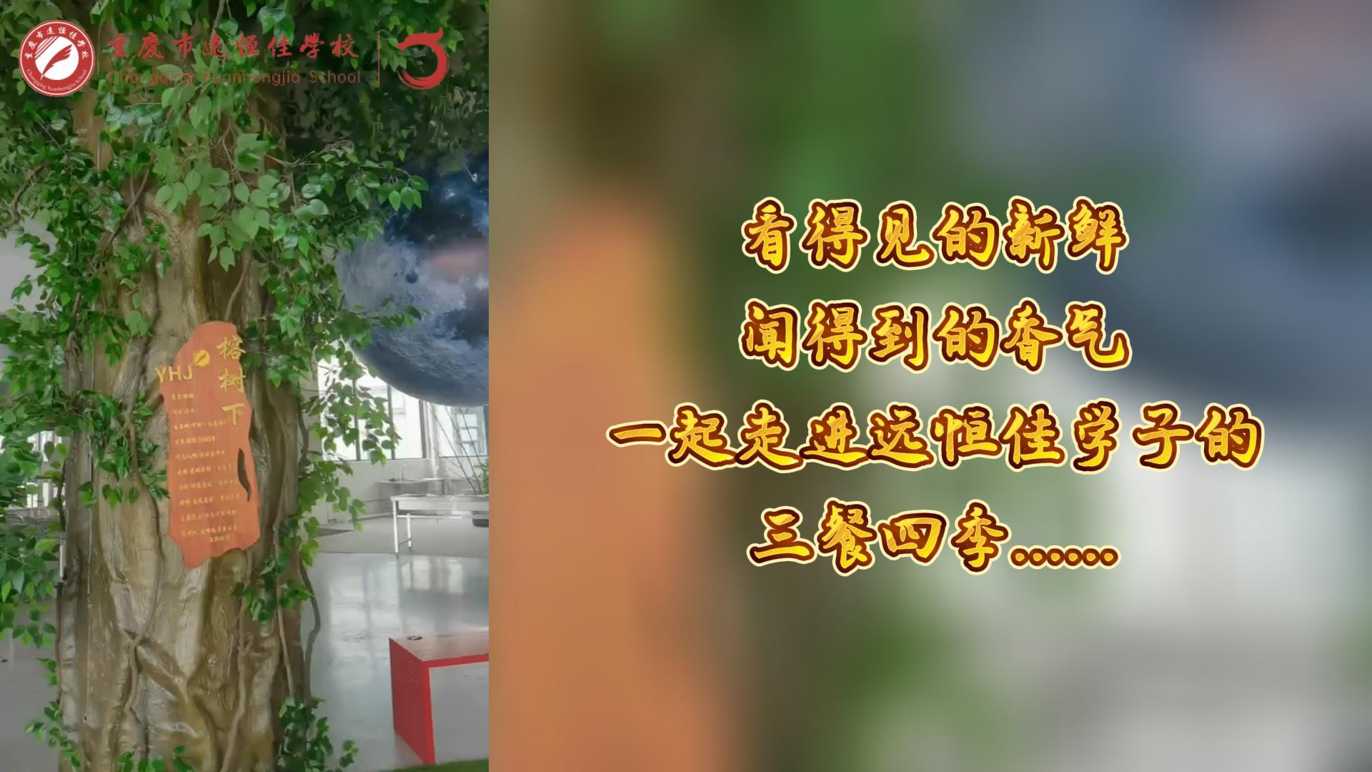 美好學(xué)校|看得見的新鮮，聞得到的香味，一起走進(jìn)遠(yuǎn)恒佳學(xué)子的三餐四季!